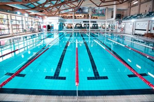 No hay imagen establecida 